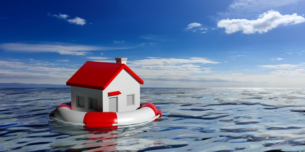 House on lifebuoy floating in water